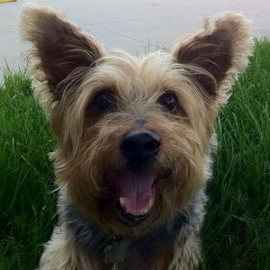 Meet your Posher, Derek